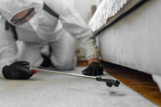 Professional Termite Control technician working in Cody, WY