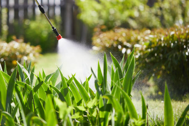 24/7 Emergency Termite Control experts in Cody, WY