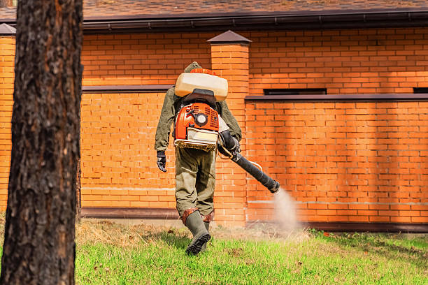 Trusted Mosquito Control service in Cody, WY - Nex Pest Control